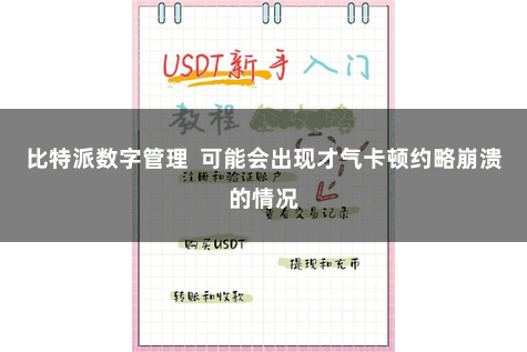 比特派数字管理 可能会出现才气卡顿约略崩溃的情况
