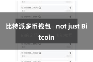比特派多币钱包 not just Bitcoin