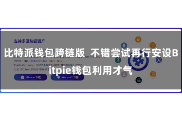 比特派钱包跨链版  不错尝试再行安设Bitpie钱包利用才气