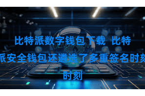 比特派数字钱包下载  比特派安全钱包还遴选了多重签名时刻